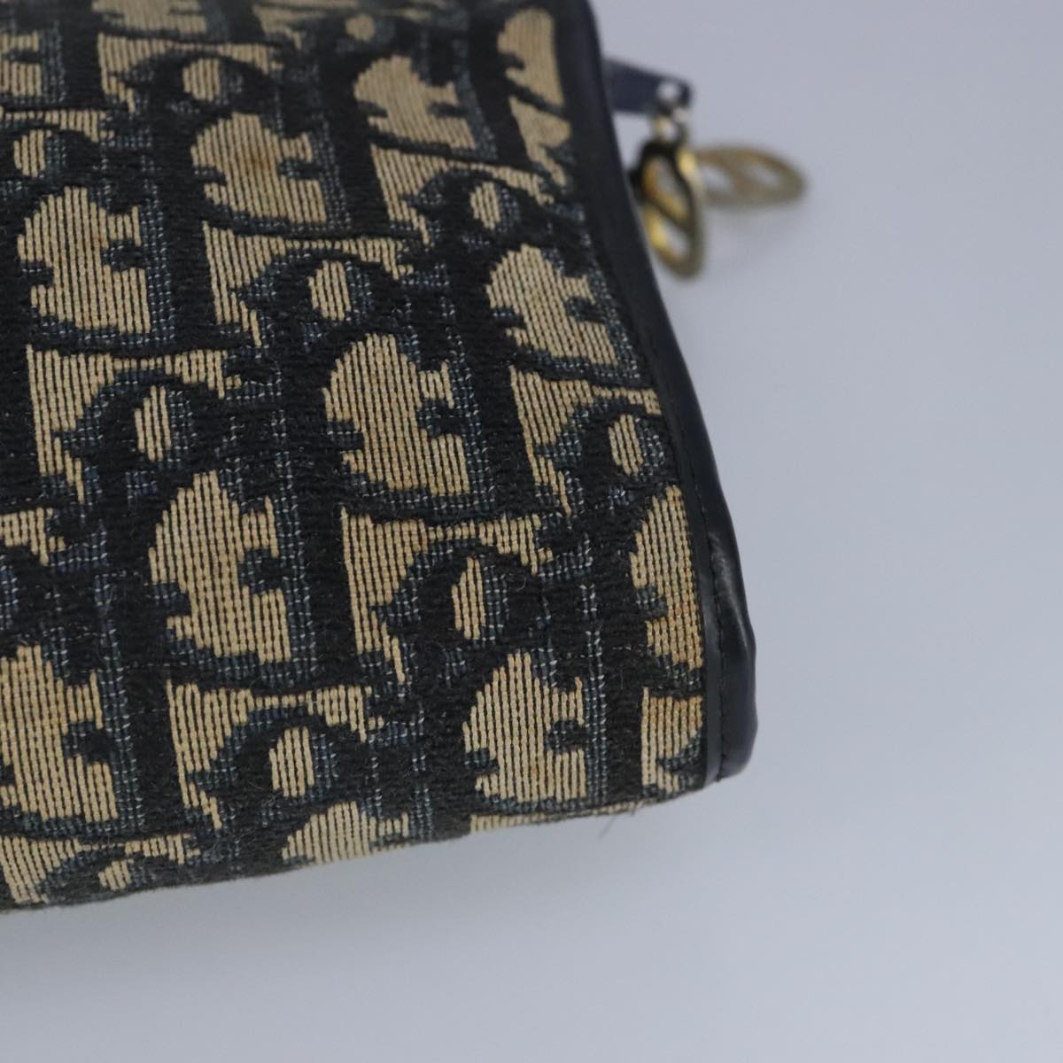 Dior Trotter