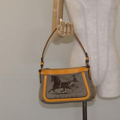 Céline Horse carriage