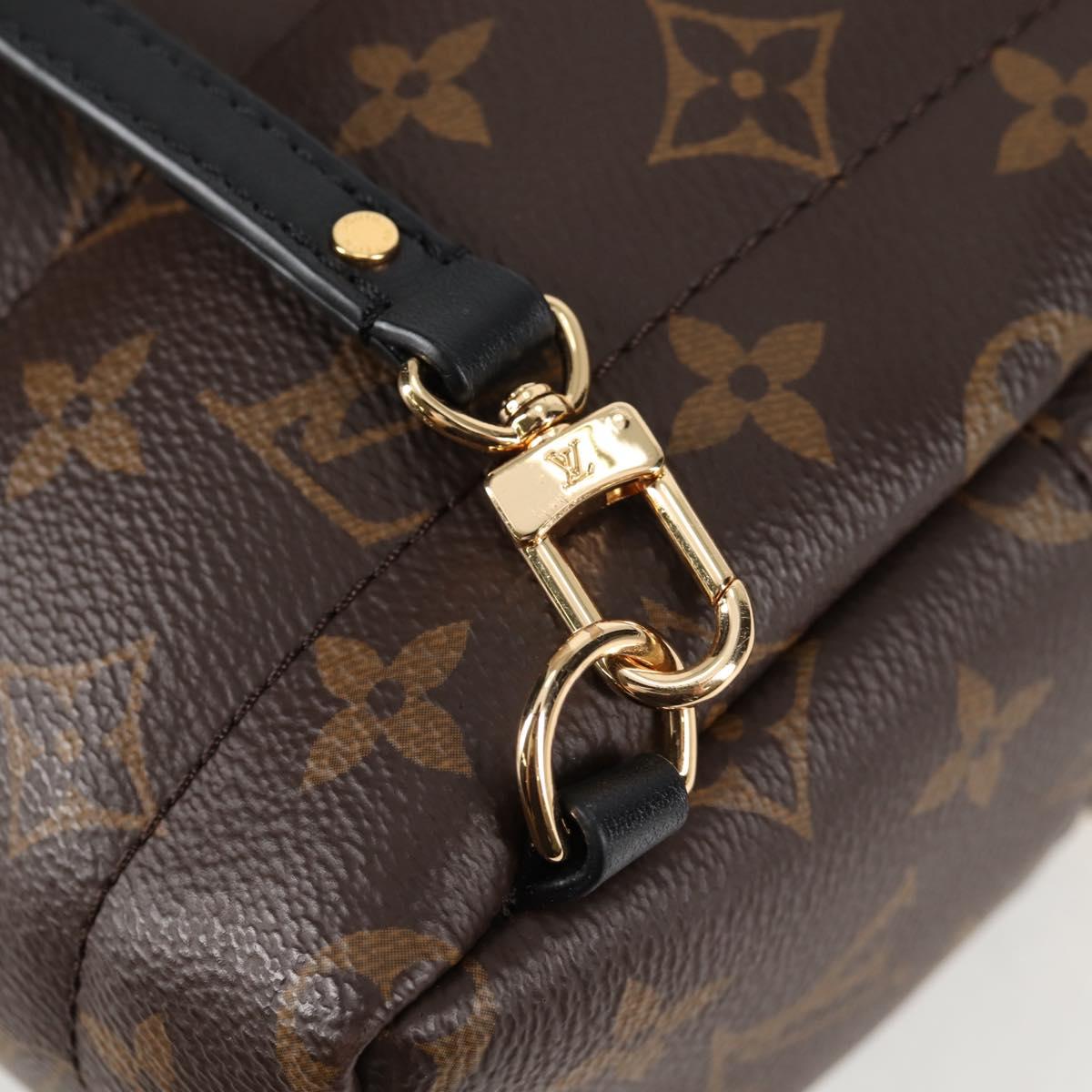 Louis Vuitton Palm Springs mini