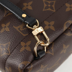 Louis Vuitton Palm Springs mini