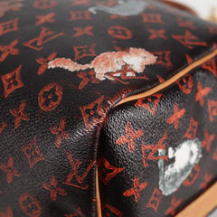 Louis Vuitton Speedy Bandoulière 30