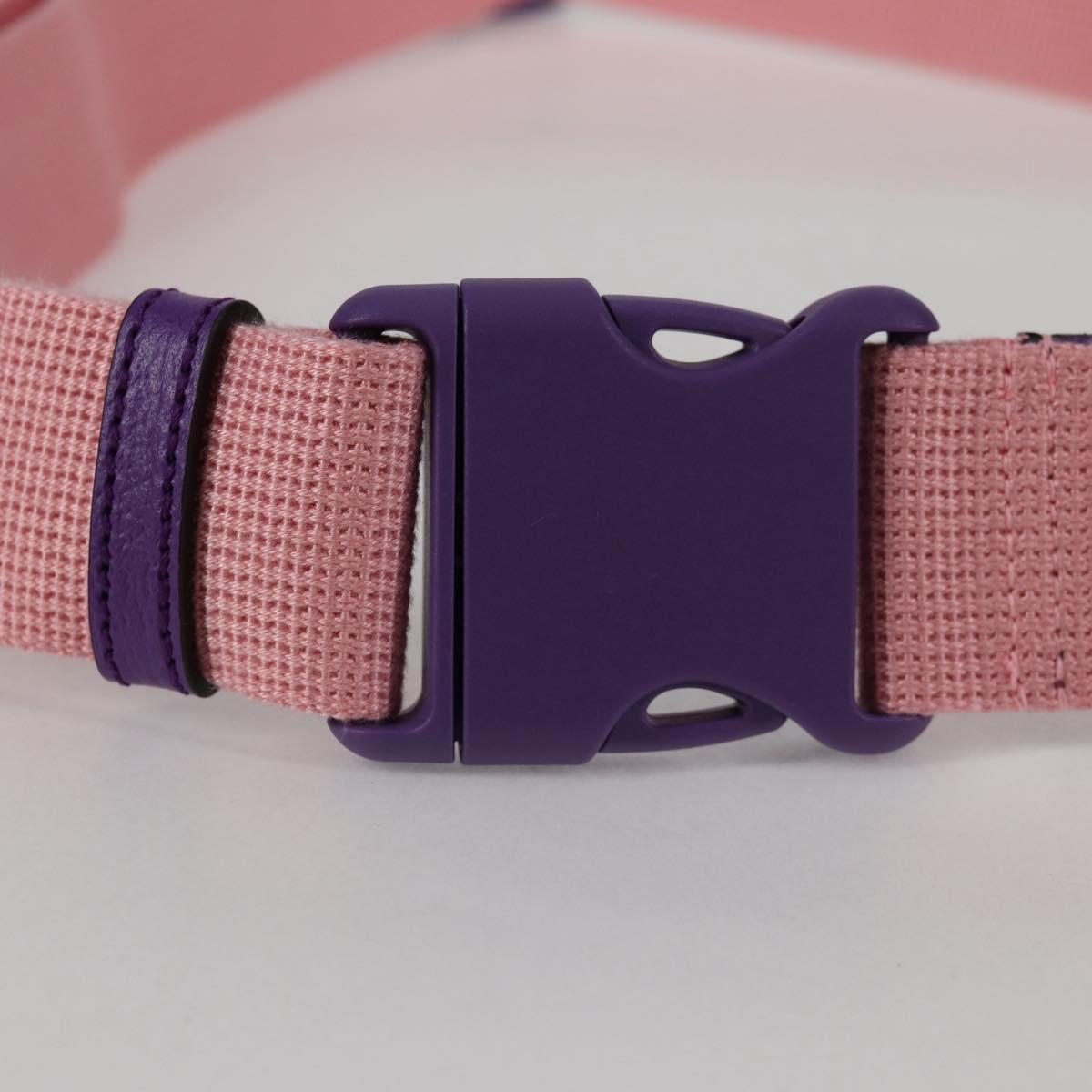 Gucci Belt bag