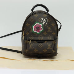 Louis Vuitton Palm Springs mini
