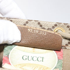 Gucci GG canvas