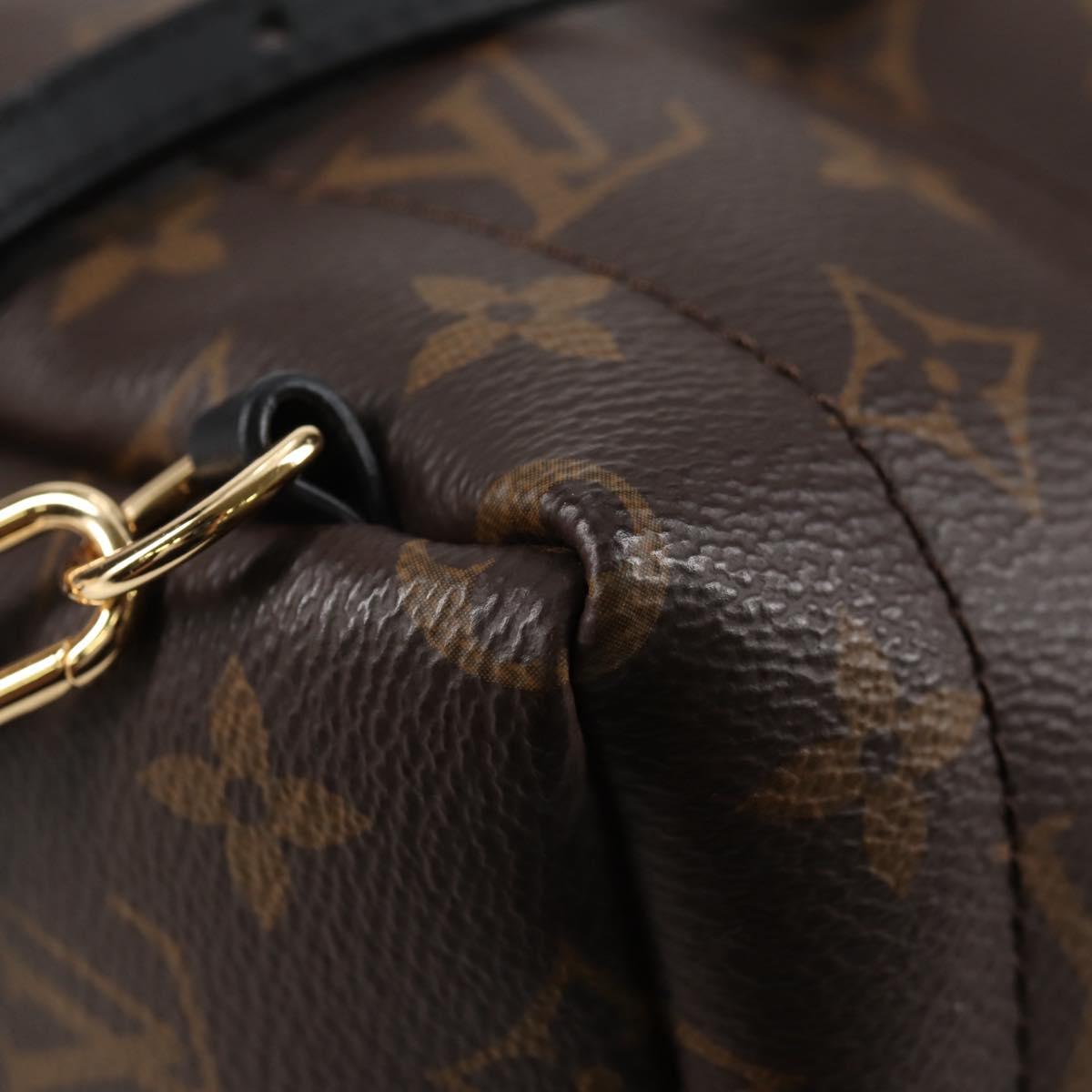 Louis Vuitton Palm Springs mini