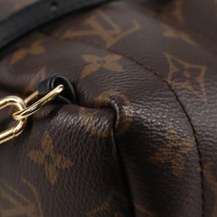 Louis Vuitton Palm Springs mini