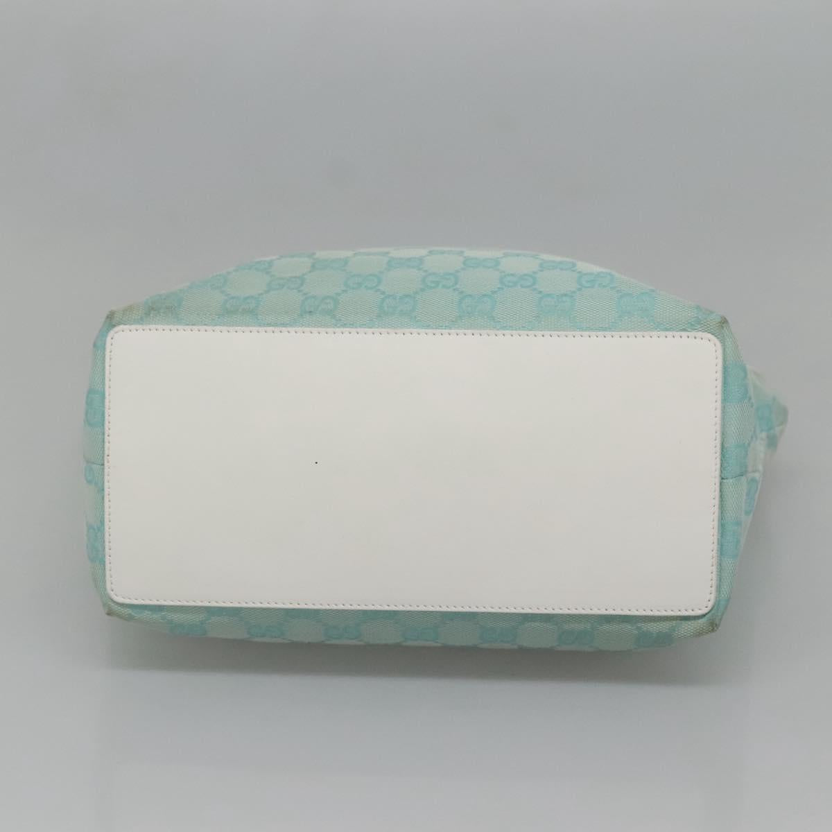 Gucci GG canvas