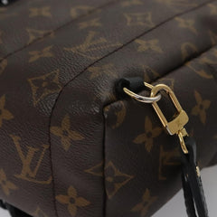 Louis Vuitton Palm Springs mini