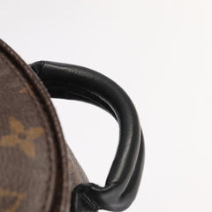 Louis Vuitton Palm Springs mini