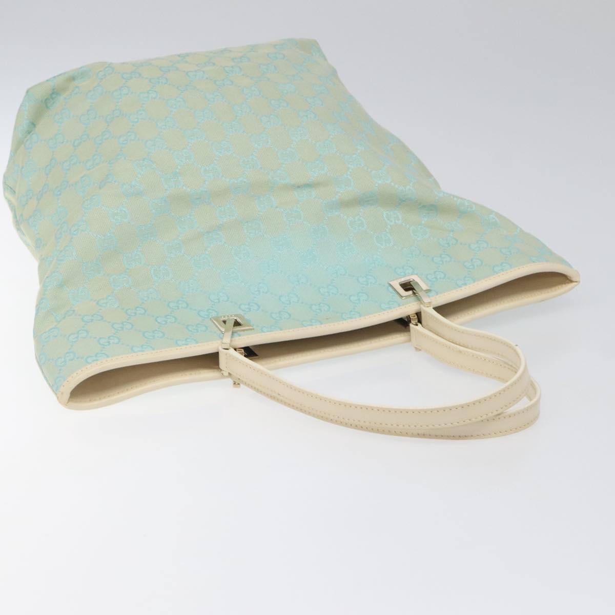 Gucci GG canvas
