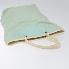 Gucci GG canvas