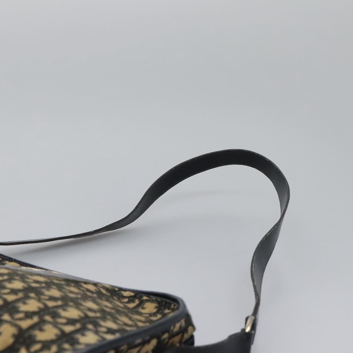 Dior Trotter