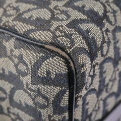 Dior Trotter
