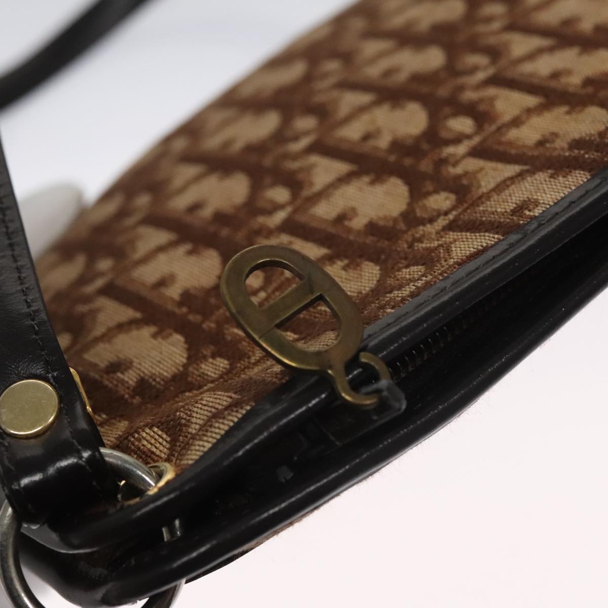 Dior Trotter