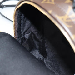 Louis Vuitton Palm Springs mini