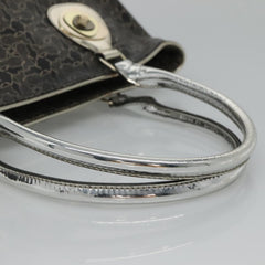Céline Horse carriage