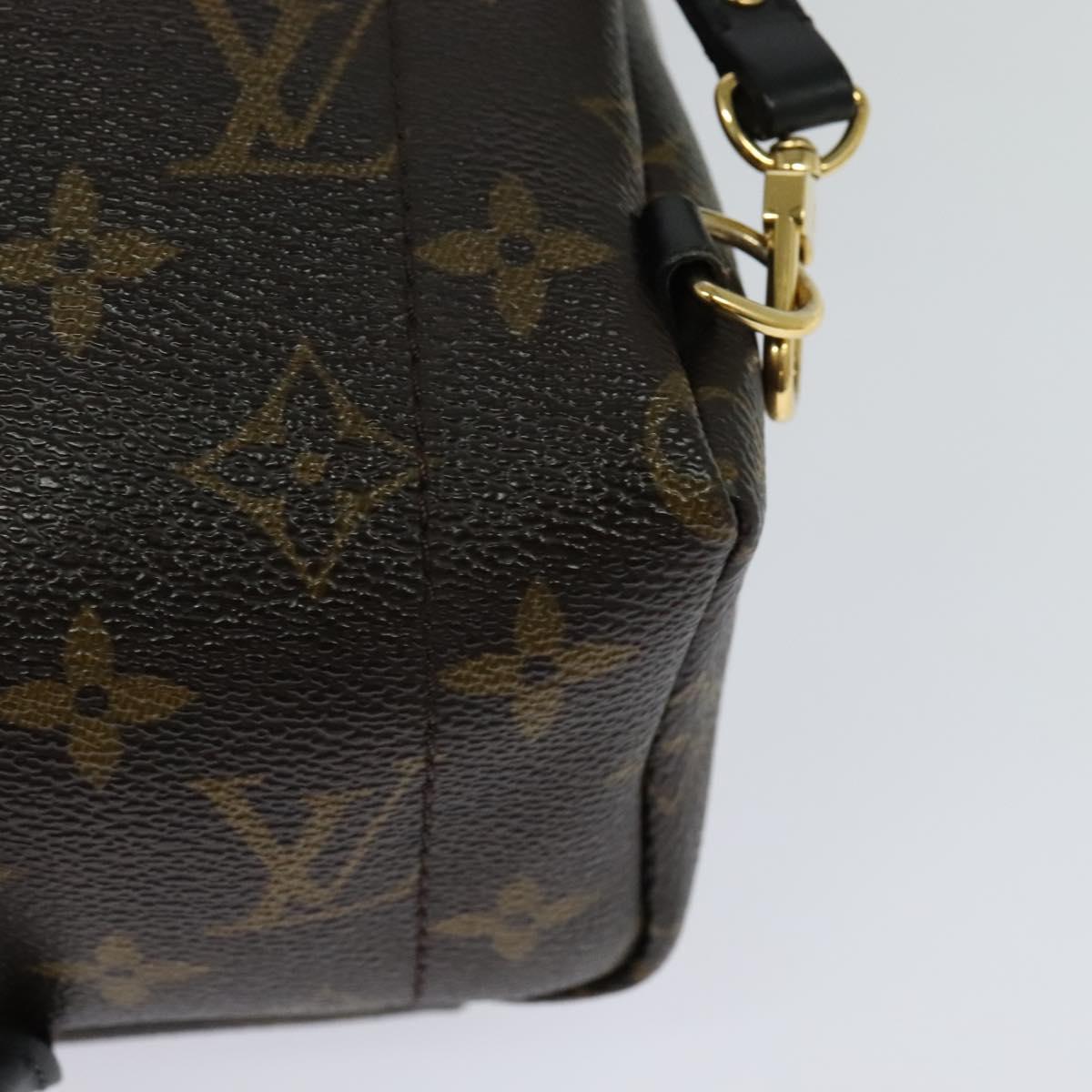 Louis Vuitton Palm Springs mini