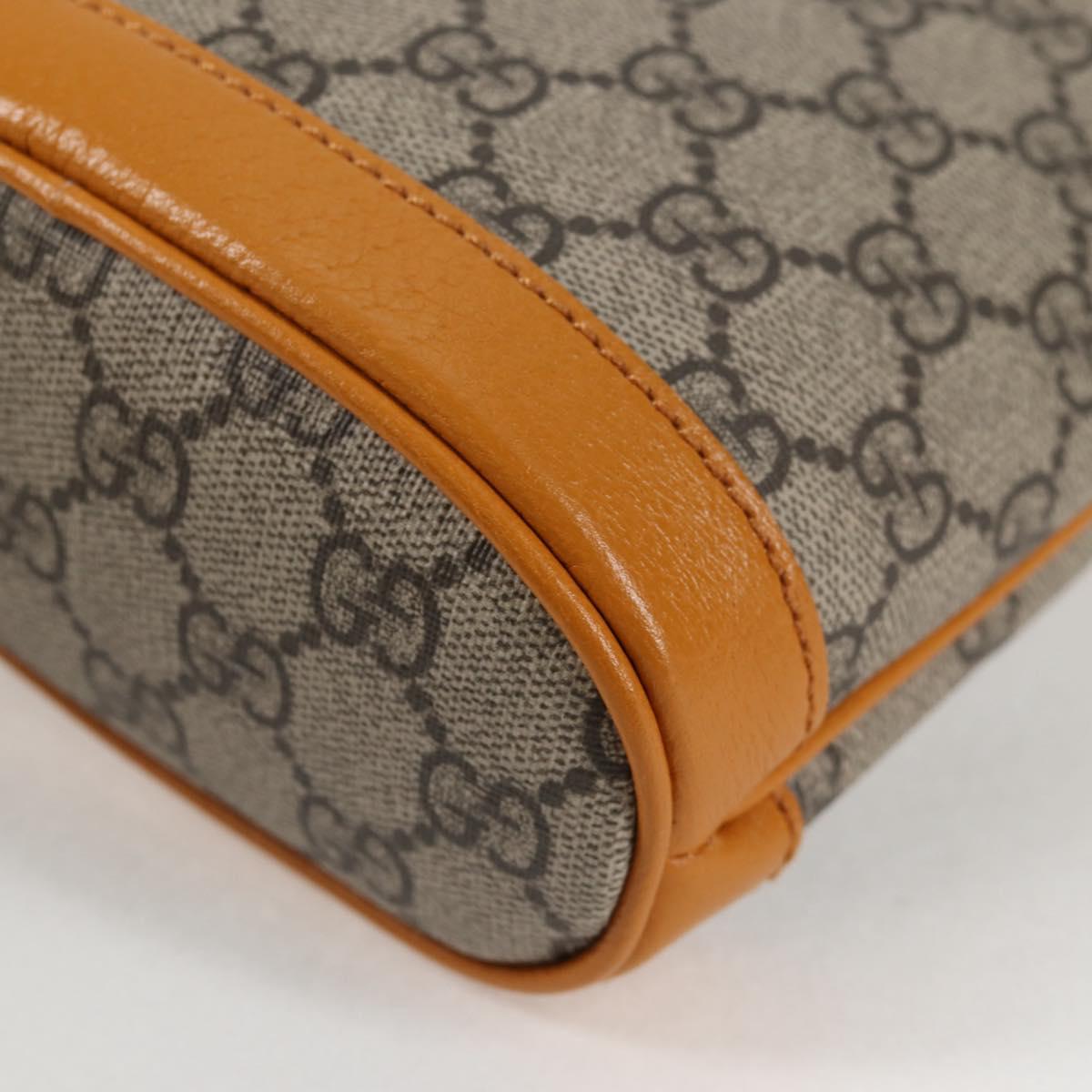 Gucci GG canvas