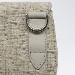 Dior Saddle Dior Oblique