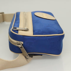 Gucci GG canvas