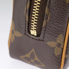 Louis Vuitton Wapiti