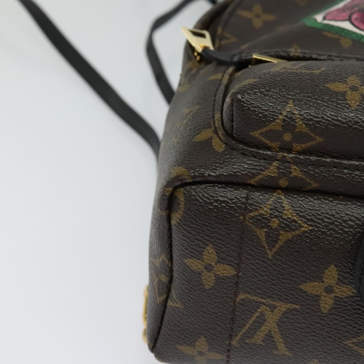 Louis Vuitton Palm Springs mini