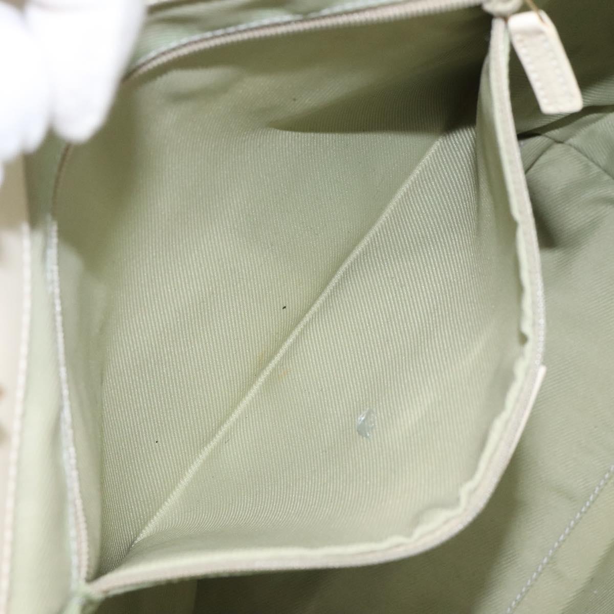 Gucci GG canvas