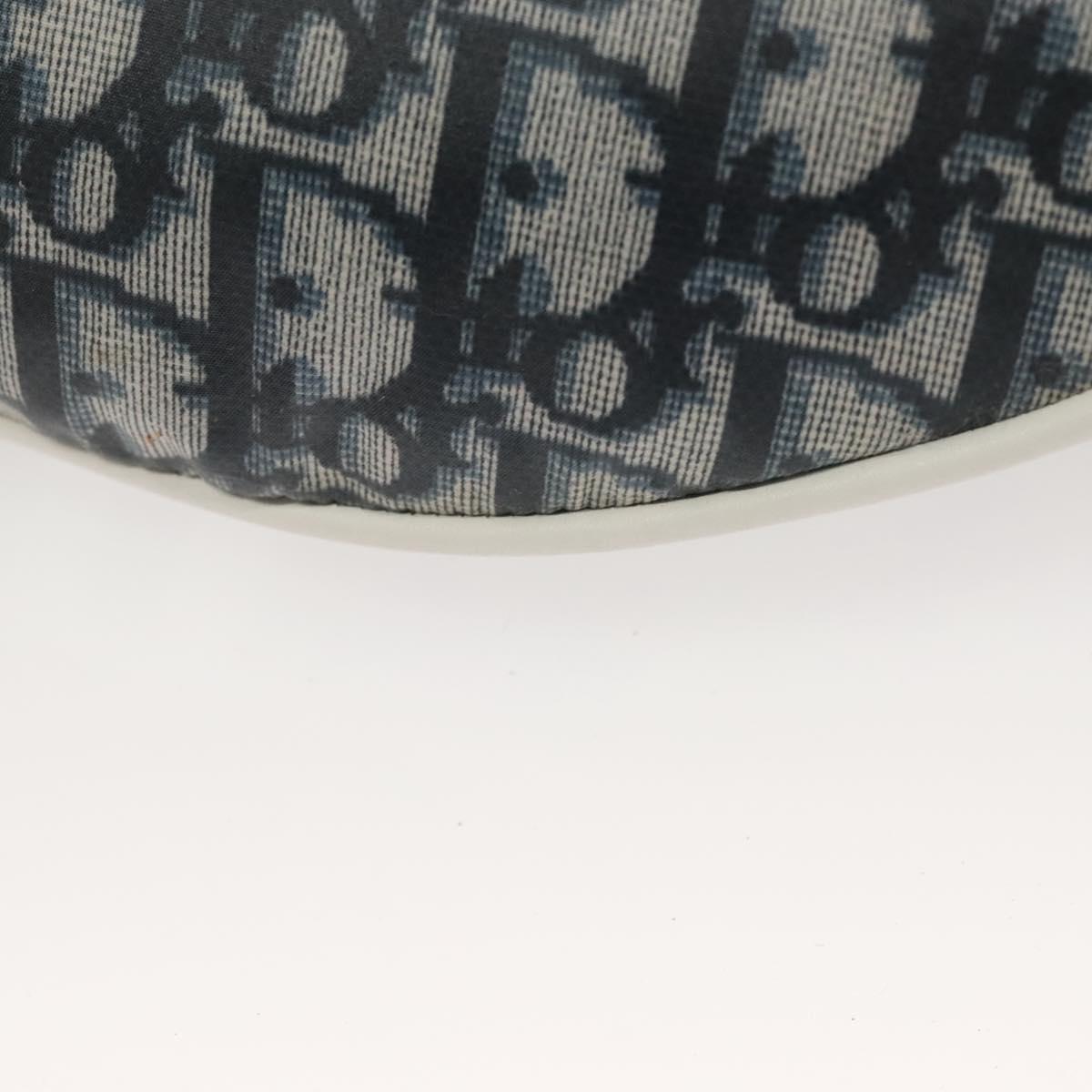 Dior Trotter