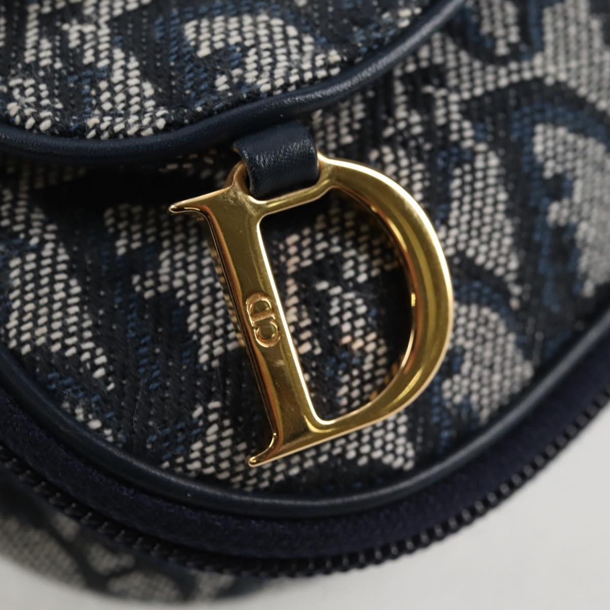 Dior Saddle