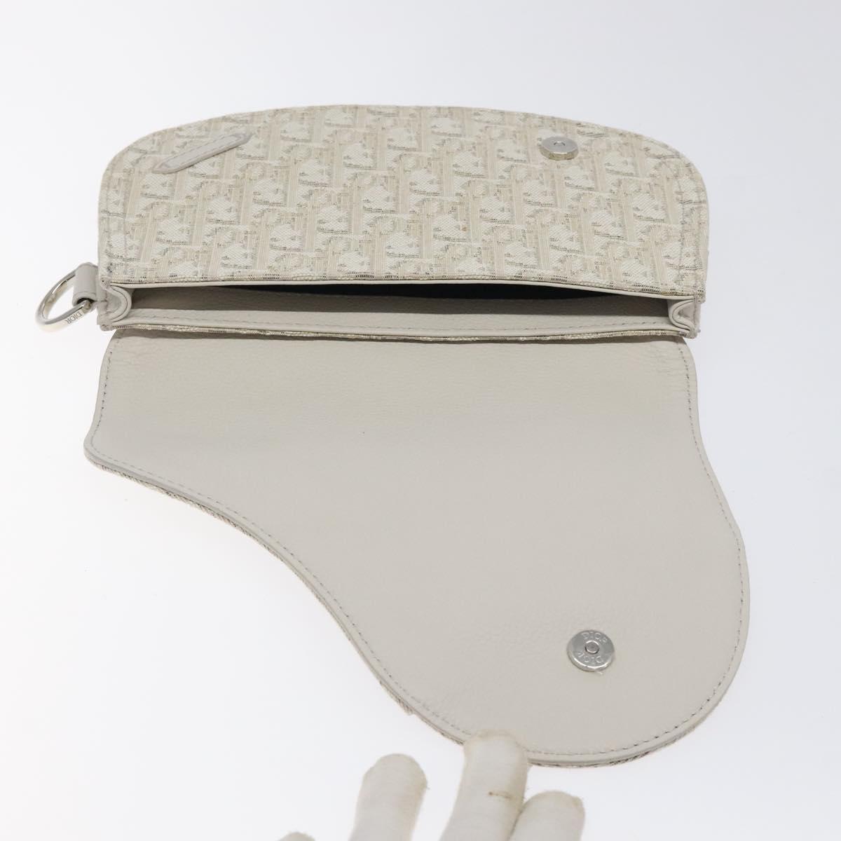 Dior Saddle Dior Oblique