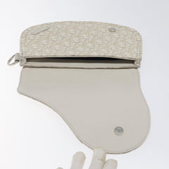 Dior Saddle Dior Oblique