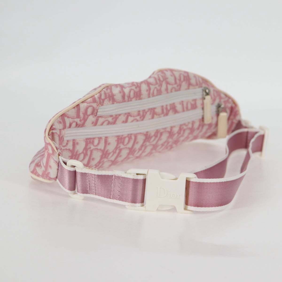 Dior Trotter
