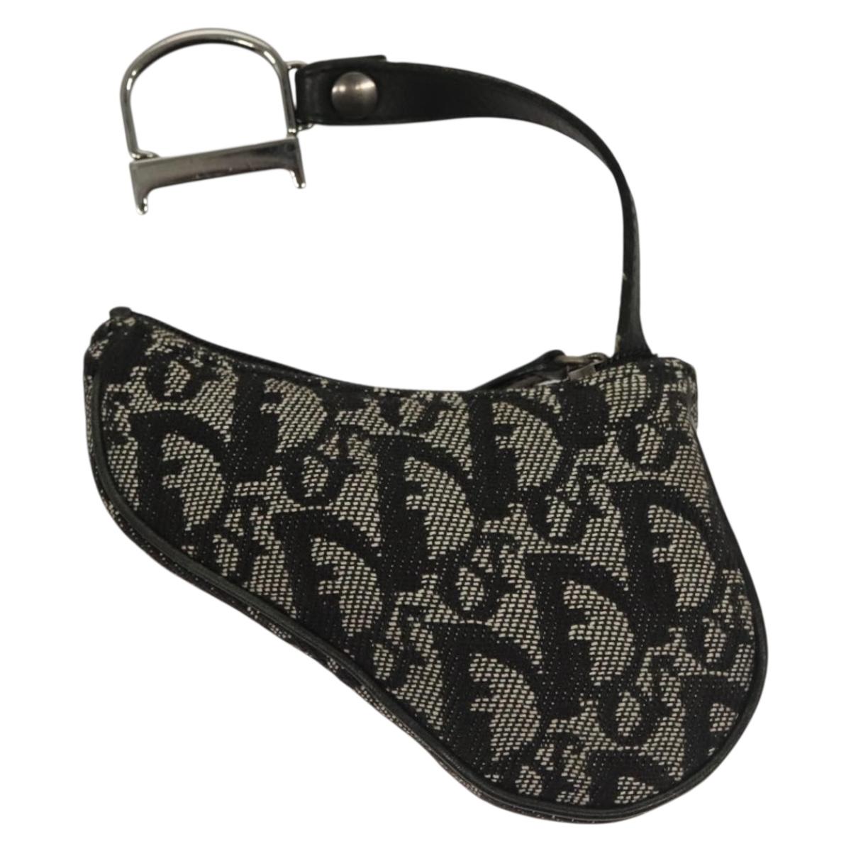 Dior Saddle