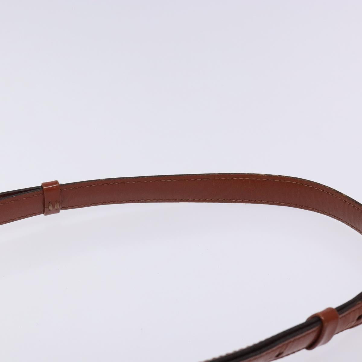 Louis Vuitton Cluny