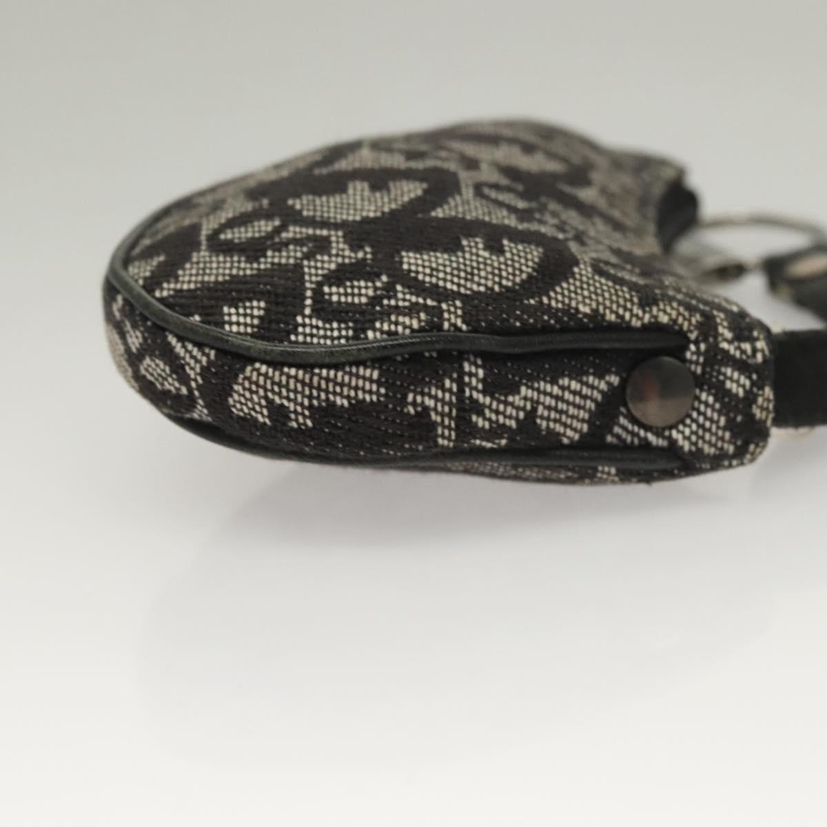 Dior Saddle