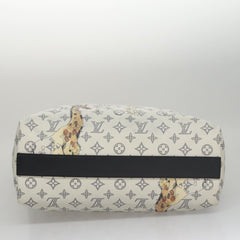 Louis Vuitton Françoise