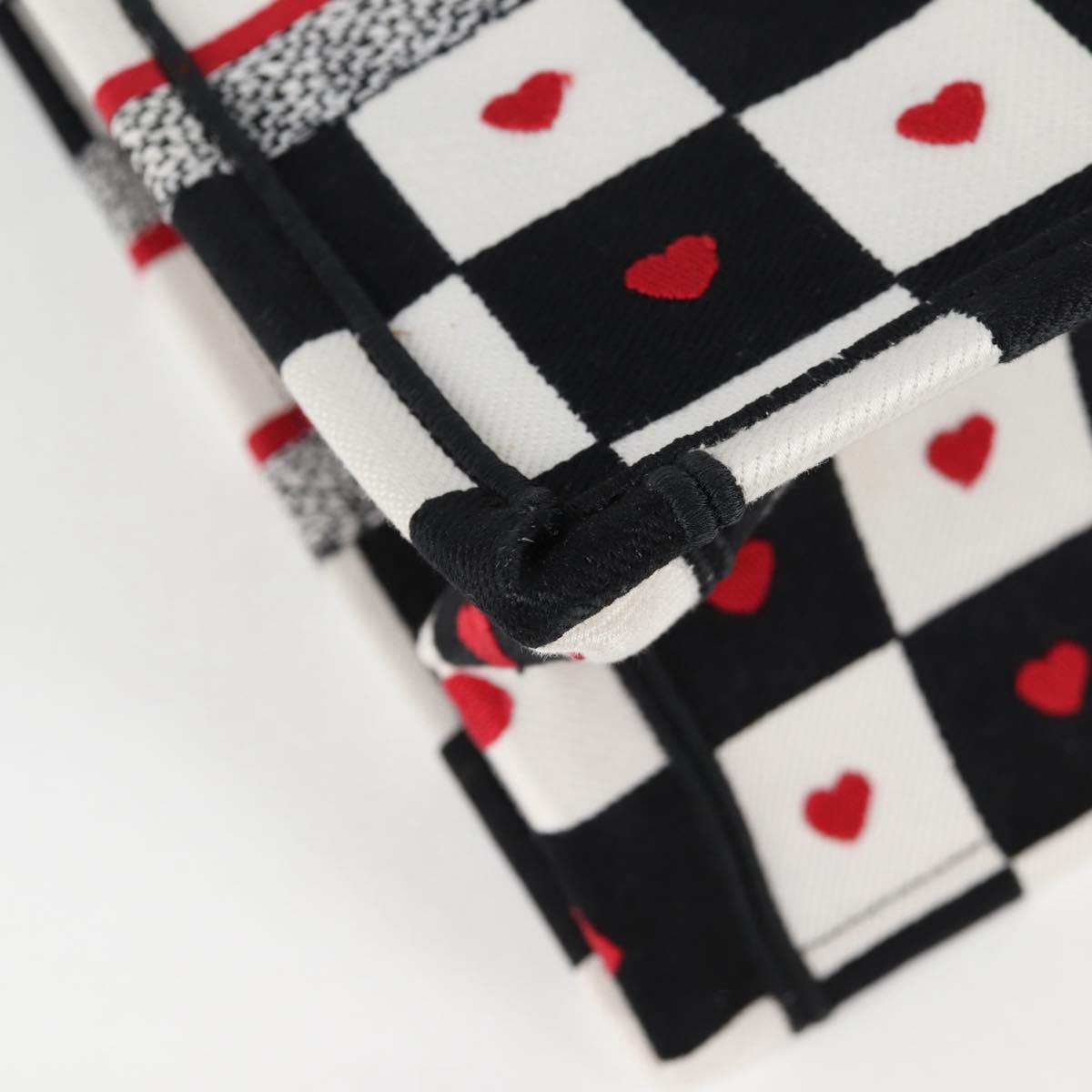 Dior Book Tote