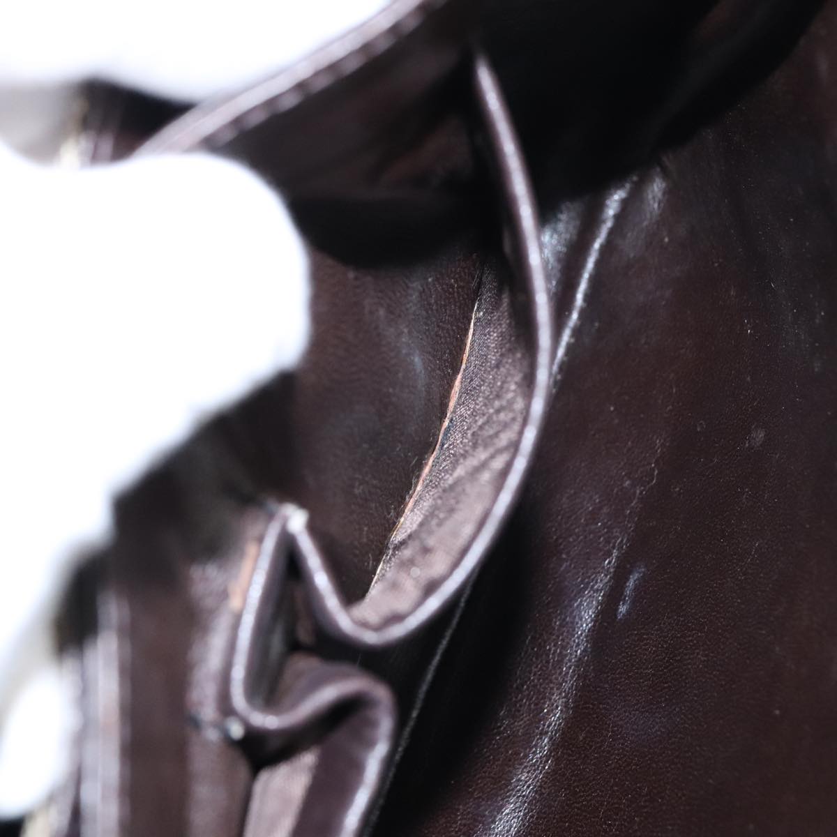 Céline Horse carriage