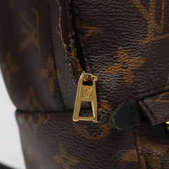 Louis Vuitton Palm Springs mini