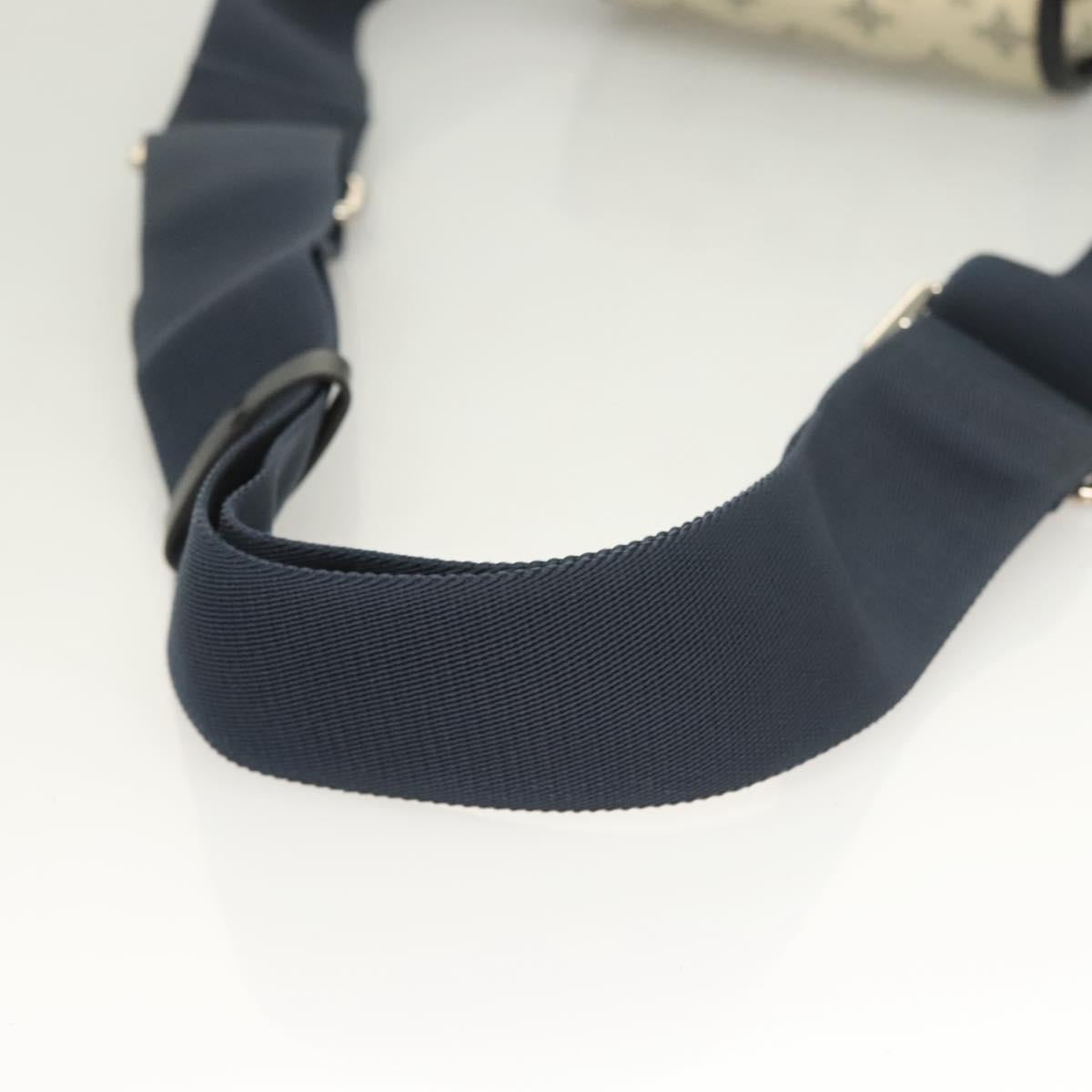 Louis Vuitton Savane
