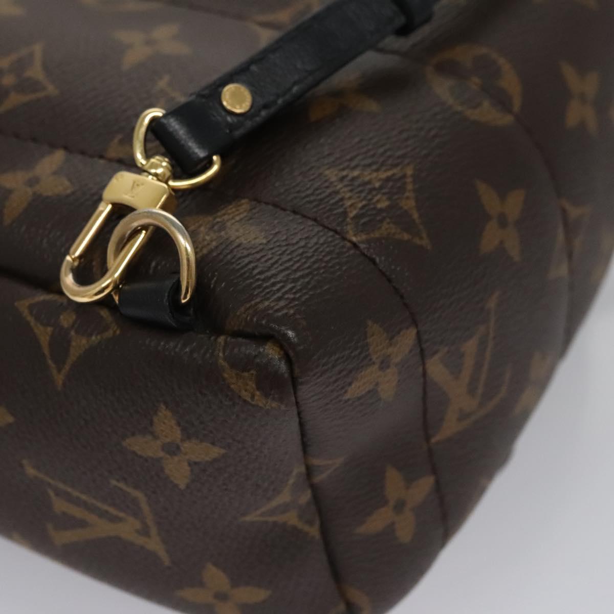 Louis Vuitton Palm Springs mini