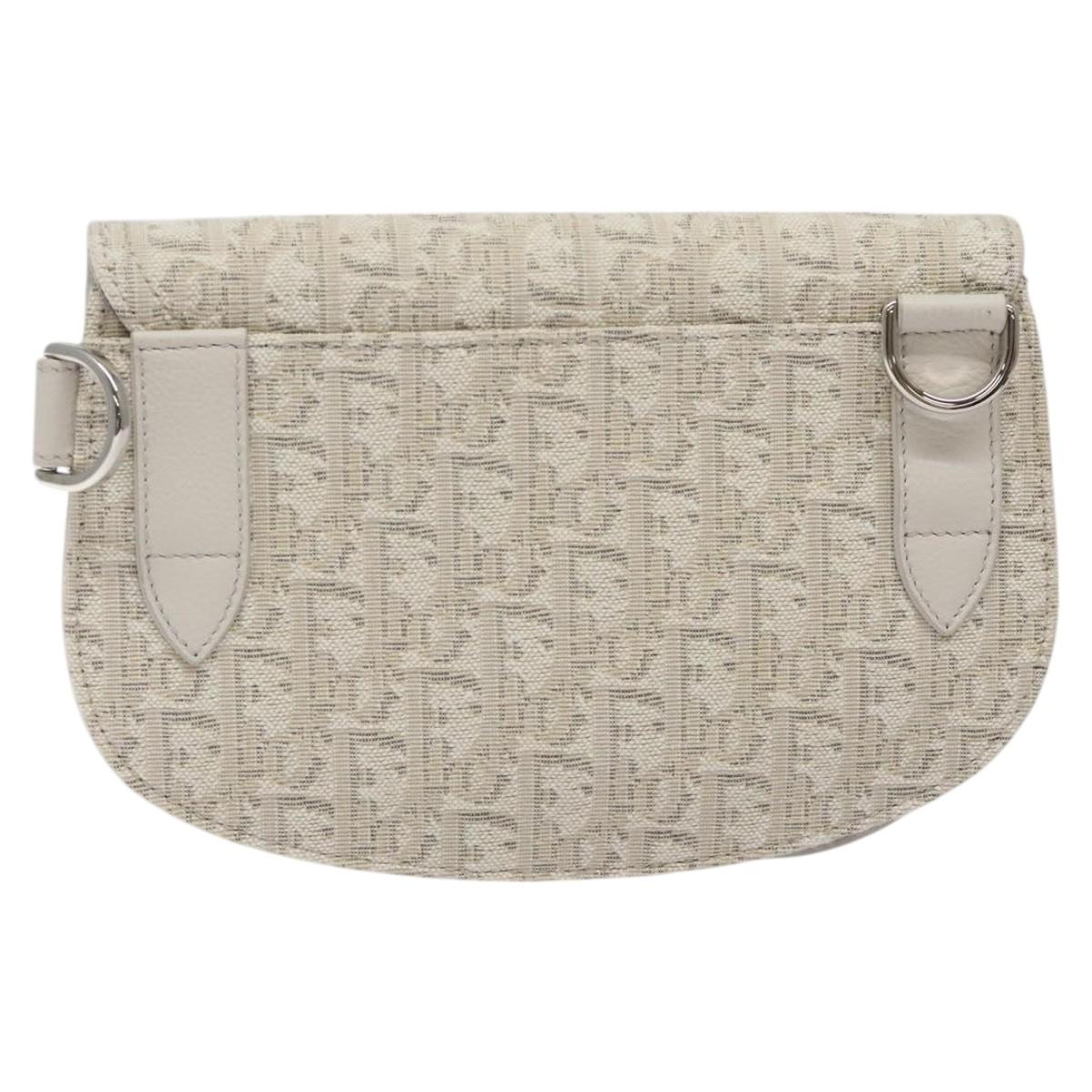 Dior Saddle Dior Oblique