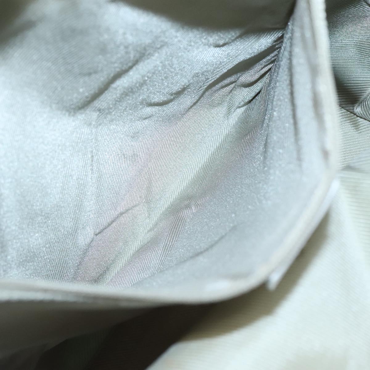 Gucci GG canvas