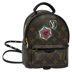 Louis Vuitton Palm Springs mini