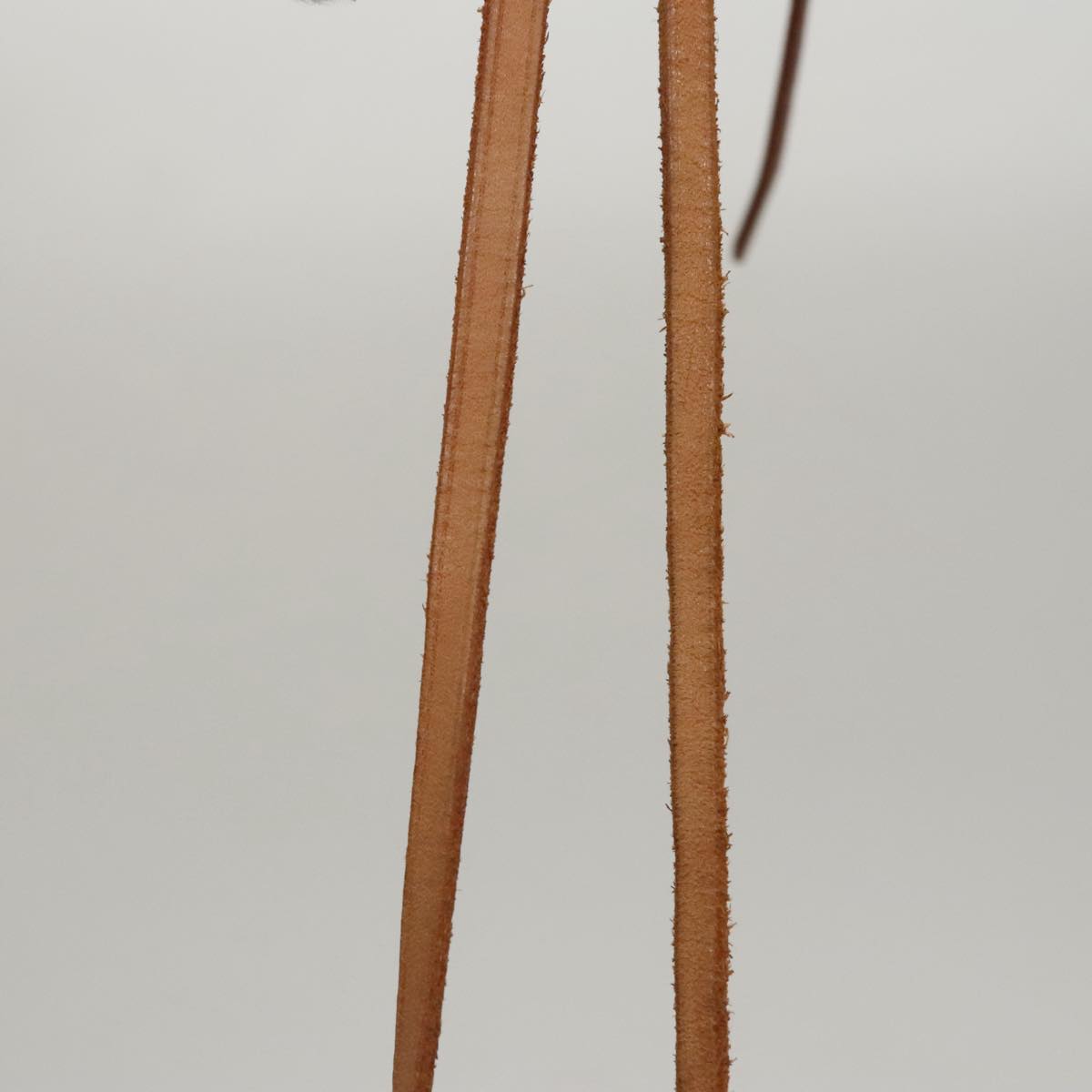 Louis Vuitton Noé