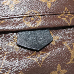 Louis Vuitton Palm Springs mini