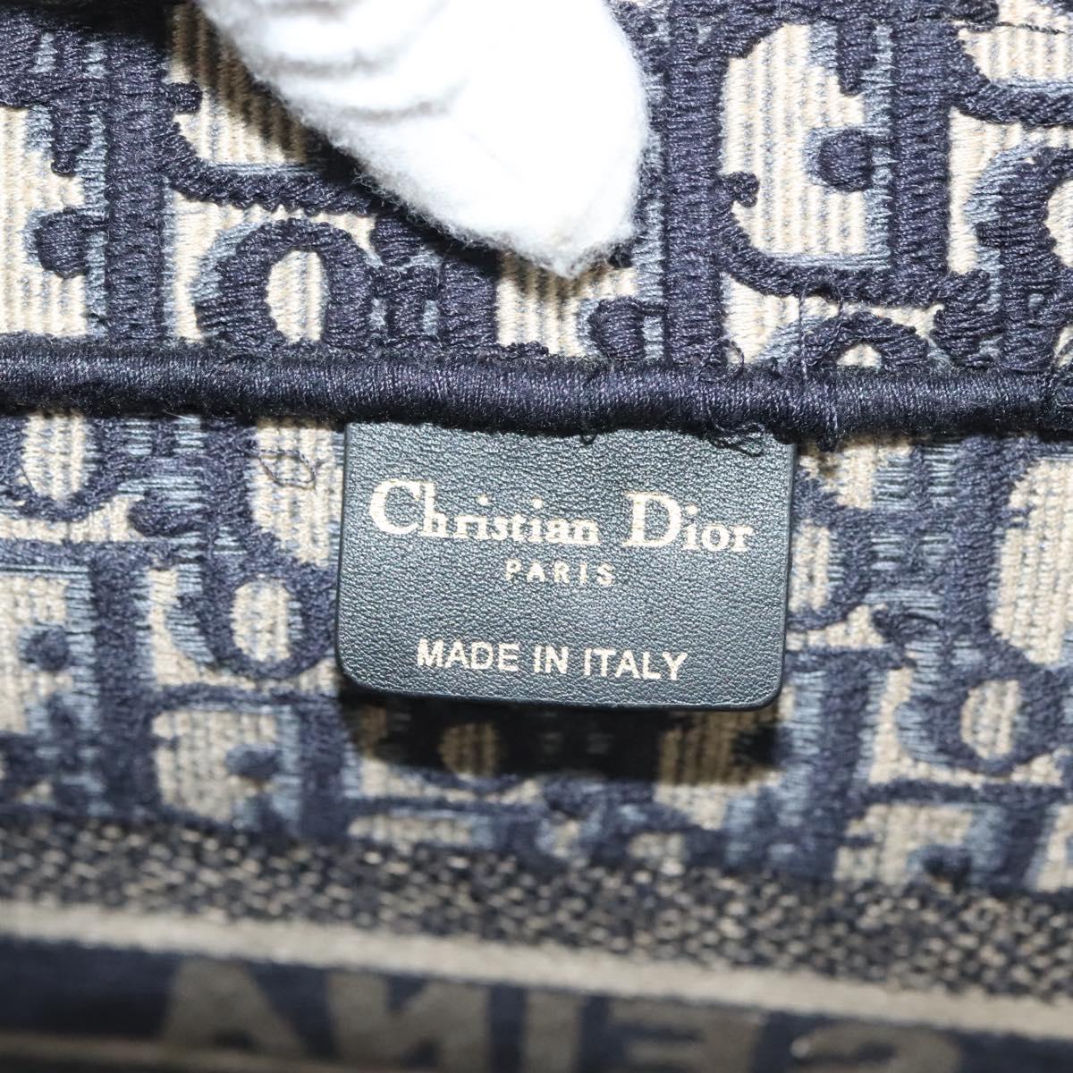 Dior Book Tote