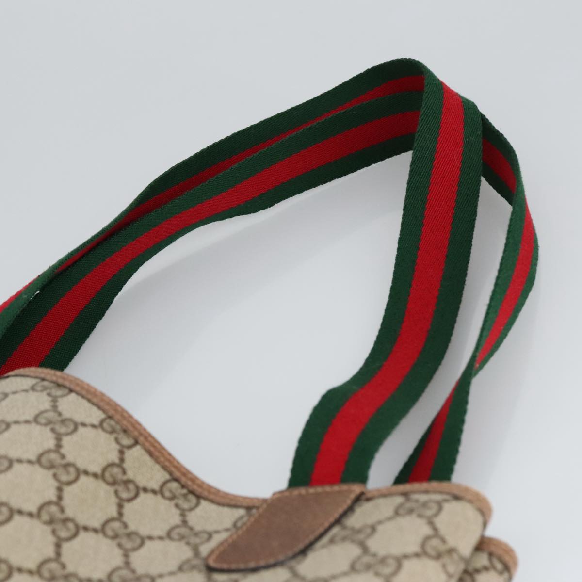 Gucci GG canvas