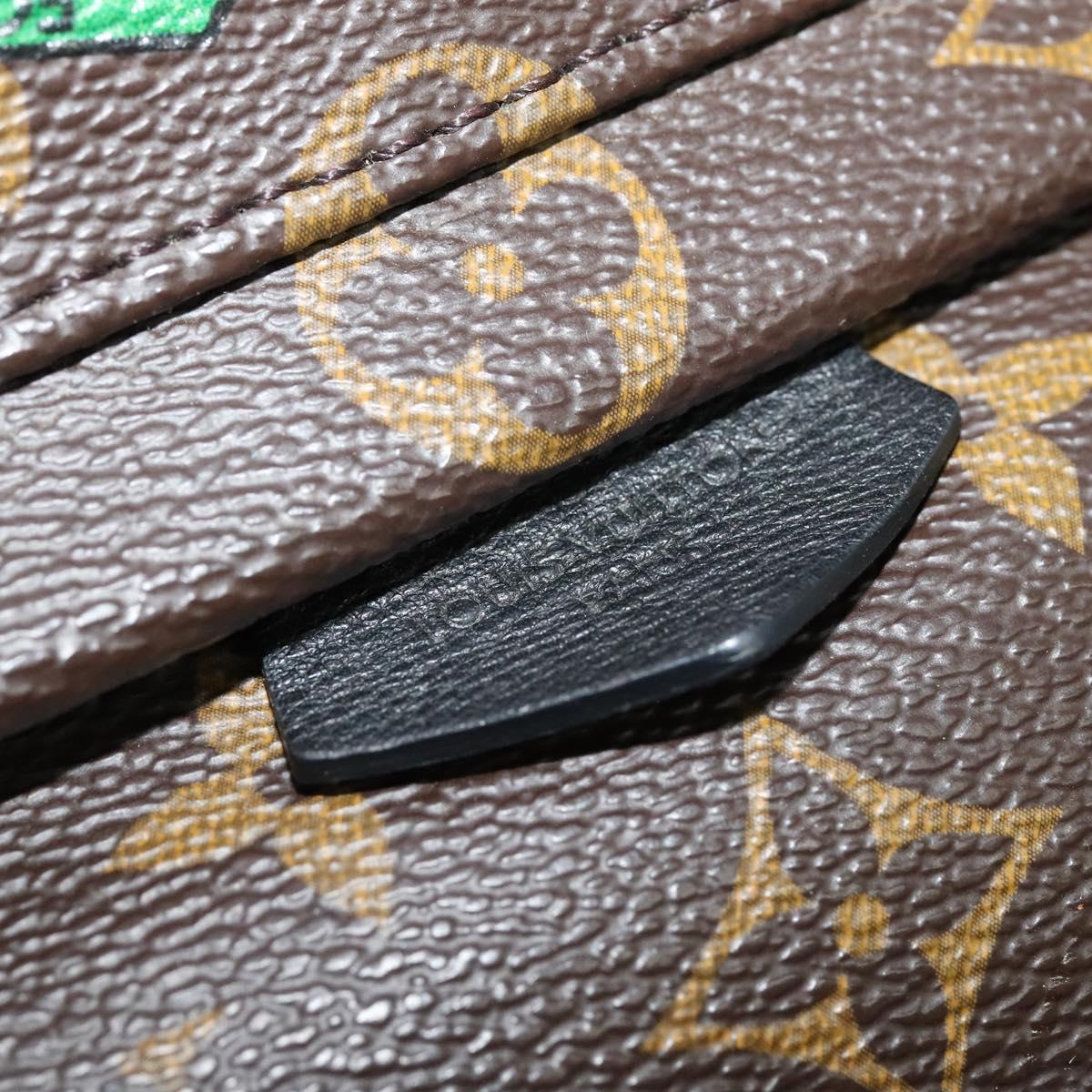 Louis Vuitton Palm Springs mini