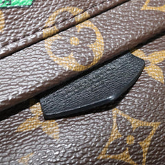 Louis Vuitton Palm Springs mini